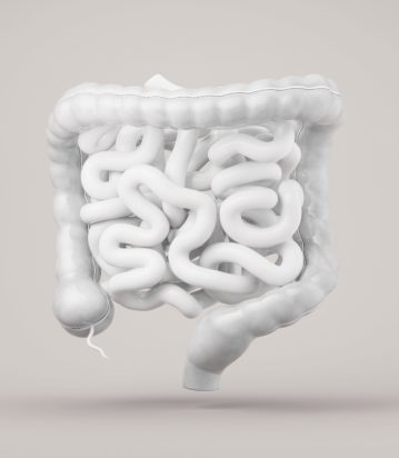 The Surprising Link Between Gut Health and Mental Well-being 4